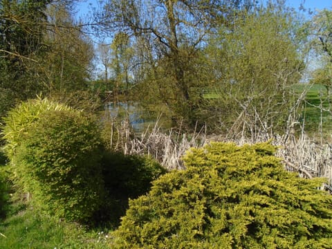 Family Suite (Suite 1er etage) | Garden