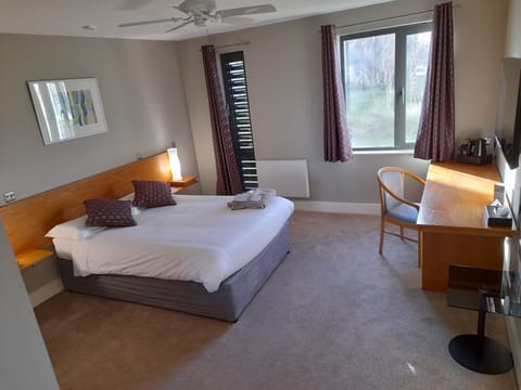 Business Double Room | Desk, iron/ironing board, free WiFi, bed sheets