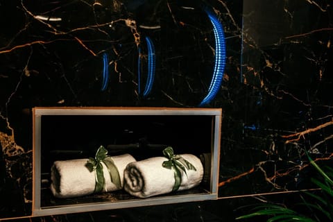 Deluxe Room, 1 Queen Bed, Private Bathroom, City View | Bathroom | Shower, free toiletries, hair dryer, bathrobes