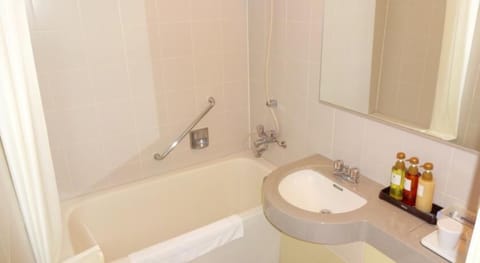 Combined shower/tub, hair dryer, slippers, bidet