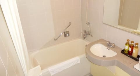 Combined shower/tub, hair dryer, slippers, bidet