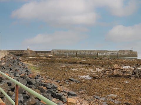 Cottage | Miscellaneous