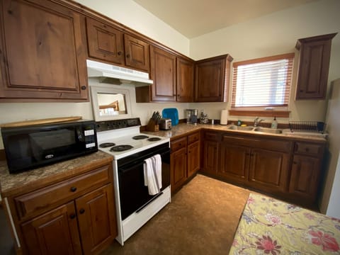 Deluxe Apartment | Private kitchen | Full-size fridge, microwave, oven, stovetop