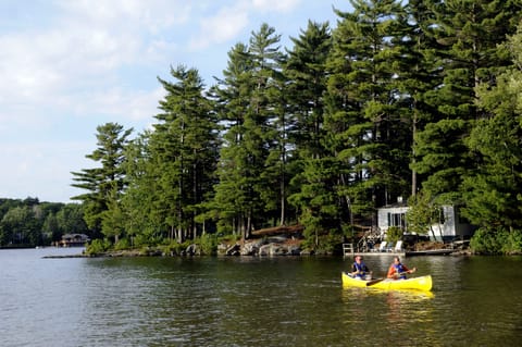 Private beach, sun loungers, beach towels, kayaking