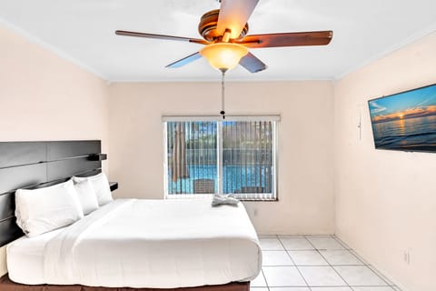 Studio | View from room