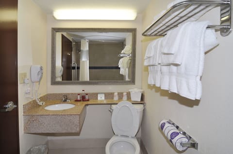 Combined shower/tub, free toiletries, hair dryer, towels