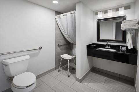 Room, 1 King Bed, Accessible | Bathroom | Combined shower/tub, free toiletries, hair dryer, towels