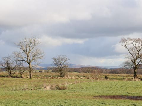 Cottage | Miscellaneous