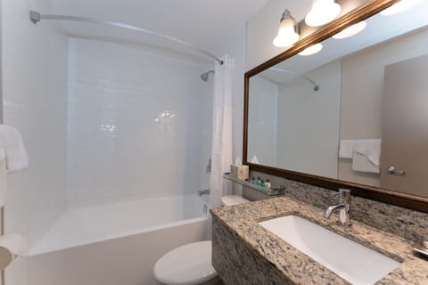 Combined shower/tub, free toiletries, hair dryer, towels