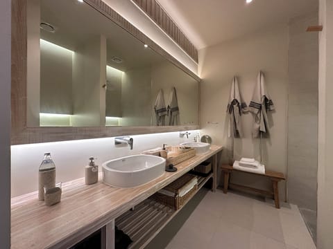 Premium Double Room | Bathroom | Shower, rainfall showerhead, free toiletries, hair dryer