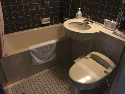 Combined shower/tub, free toiletries, hair dryer, slippers