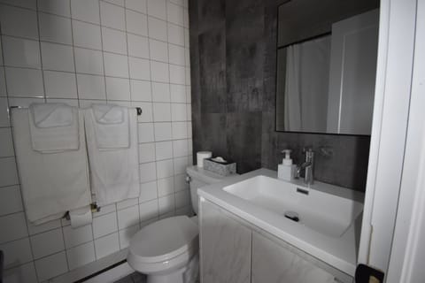 Superior Room | Bathroom | Free toiletries, hair dryer, towels