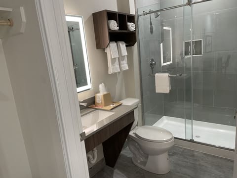 Exclusive Room | Bathroom | Hair dryer, towels