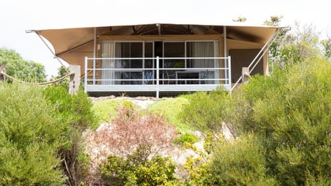 Family Eco Tent | View from room