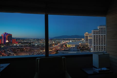 Studio - Vegas City View | View from room