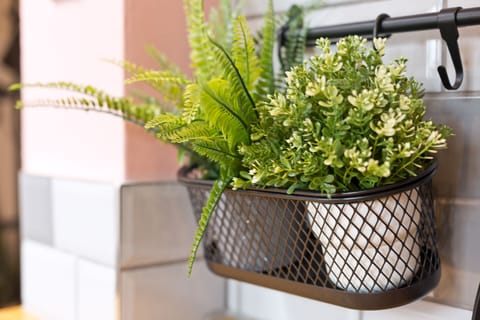 House, Private Bathroom | Miscellaneous