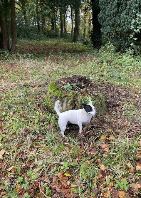 Studio | Property grounds