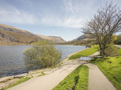 Cottage | Miscellaneous