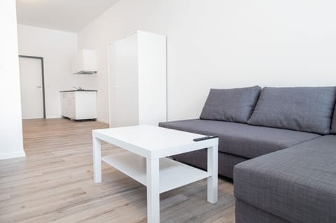 Studio Suite (French Bed and Sofa 1,40 m x 2 m) | Laptop workspace, iron/ironing board, free WiFi, bed sheets