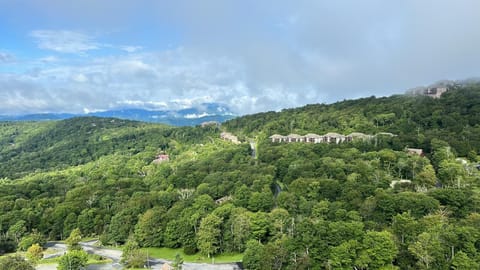 Condo, 2 Bedrooms | Aerial view