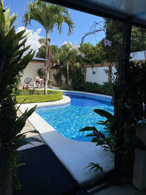 Outdoor pool, sun loungers