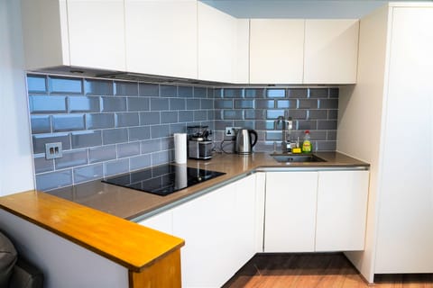 Luxury Apartment | Private kitchen | Full-size fridge, microwave, oven, stovetop