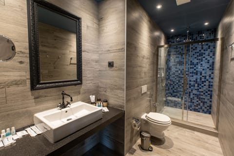 Panoramic Suite | Bathroom | Shower, free toiletries, hair dryer, bathrobes