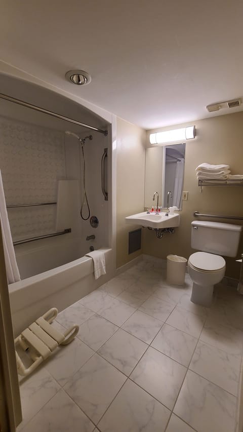 Combined shower/tub, free toiletries, hair dryer, towels