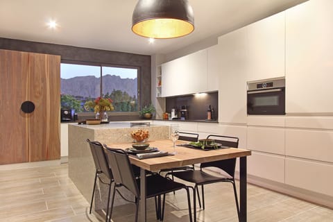 Luxury Apartment | Private kitchen | Full-size fridge, microwave, oven, stovetop