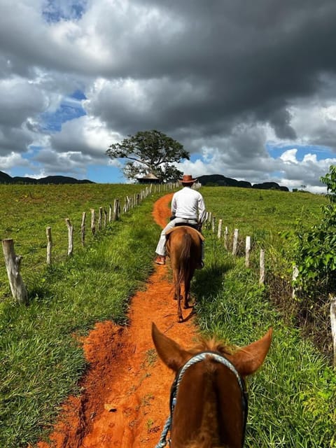 Horseback riding