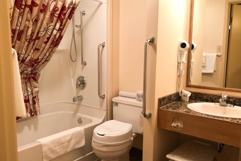 Combined shower/tub, free toiletries, hair dryer, towels