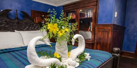 Blackout drapes, rollaway beds, bed sheets