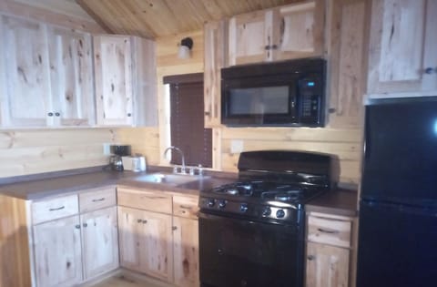 Family Cabin, Kitchen, Beachside | Private kitchen