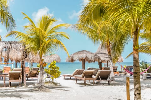 On the beach, white sand, sun loungers