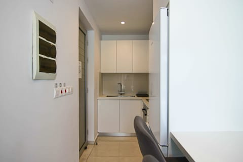 Deluxe Apartment | Private kitchen | Fridge