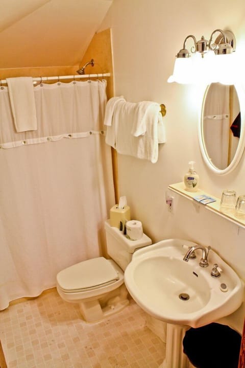 Deluxe Queen | Bathroom | Free toiletries, hair dryer, bathrobes, towels