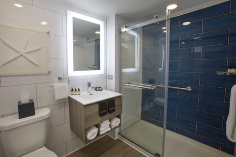 Premium Double Room | Bathroom | Shower, free toiletries, hair dryer, towels