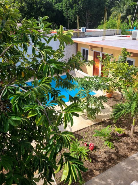 Outdoor pool, sun loungers