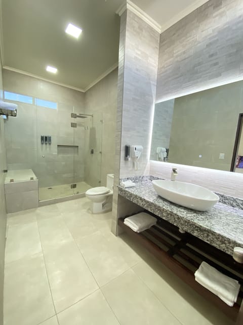 Elite Double Room | Bathroom | Shower, rainfall showerhead, hair dryer, towels