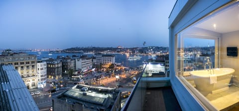 Penthouse, Terrace | City view