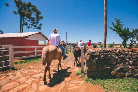 Horseback riding