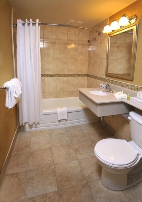 Select Plus King Room | Bathroom | Shower, eco-friendly toiletries, hair dryer, towels