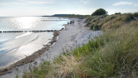 Beach nearby, white sand