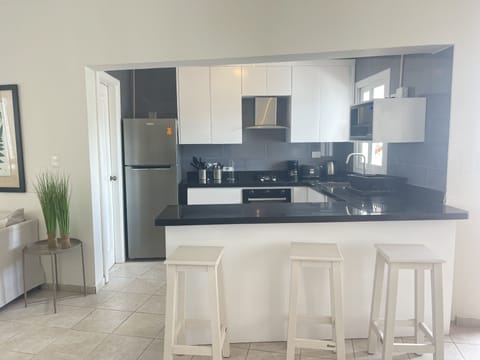 Deluxe Apartment | Private kitchen | Fridge, microwave, stovetop, toaster