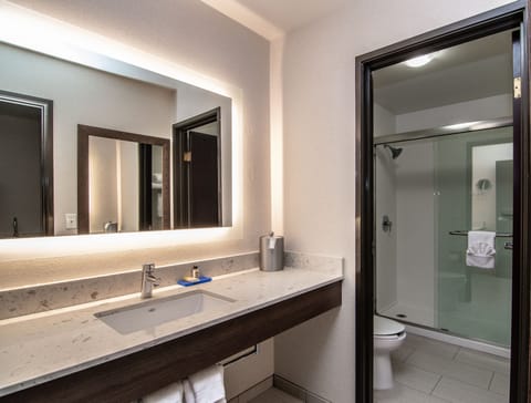 Suite, 1 King Bed, Balcony, City View | Bathroom | Eco-friendly toiletries, hair dryer, towels, soap