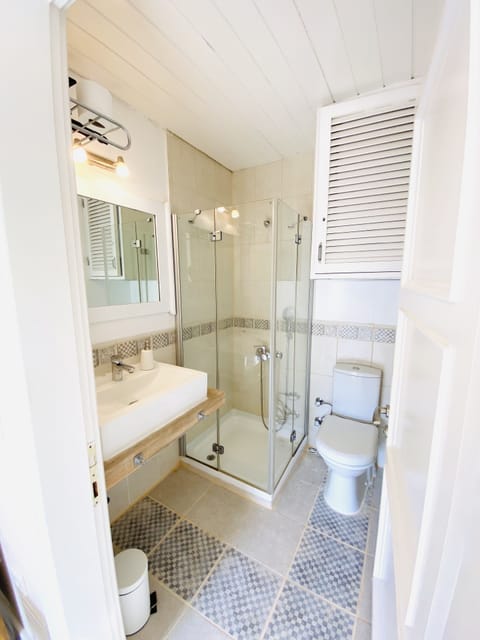 Deluxe Double Room | Bathroom | Shower, free toiletries, hair dryer, towels