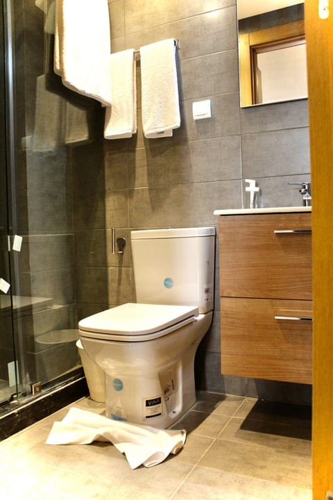 Deluxe Studio | Bathroom | Shower, rainfall showerhead, free toiletries, hair dryer