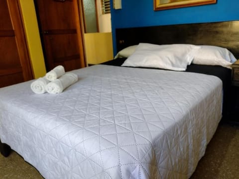 Standard Double Room | Iron/ironing board, free WiFi, bed sheets