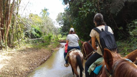 Horseback riding