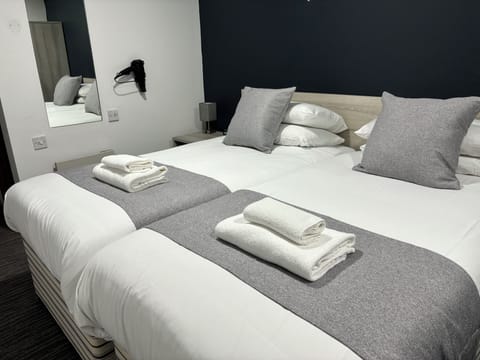 Premium Twin Room | Desk, laptop workspace, free WiFi, bed sheets